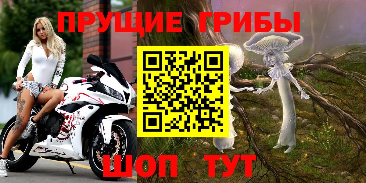 Псилоцибиновые грибы Psilocybine cubensis Асбест