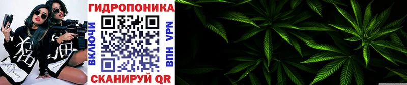 где найти наркотики Асбест hydra tor Шишки марихуана конопля